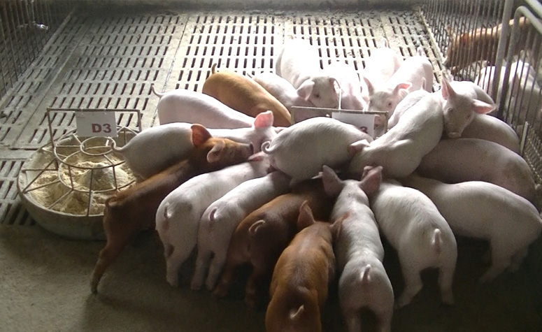 ������������ ��Ч��������|�Ϻ�kb88ƽ̨Э�츣��ʡ���Ϲ�ҵЭ��2023����ҵ���Բ���ٿ�