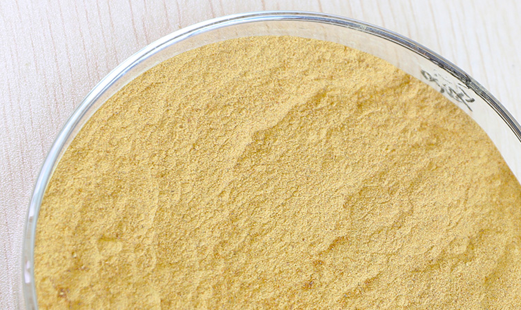 ���ࡢ�����Ѱ�