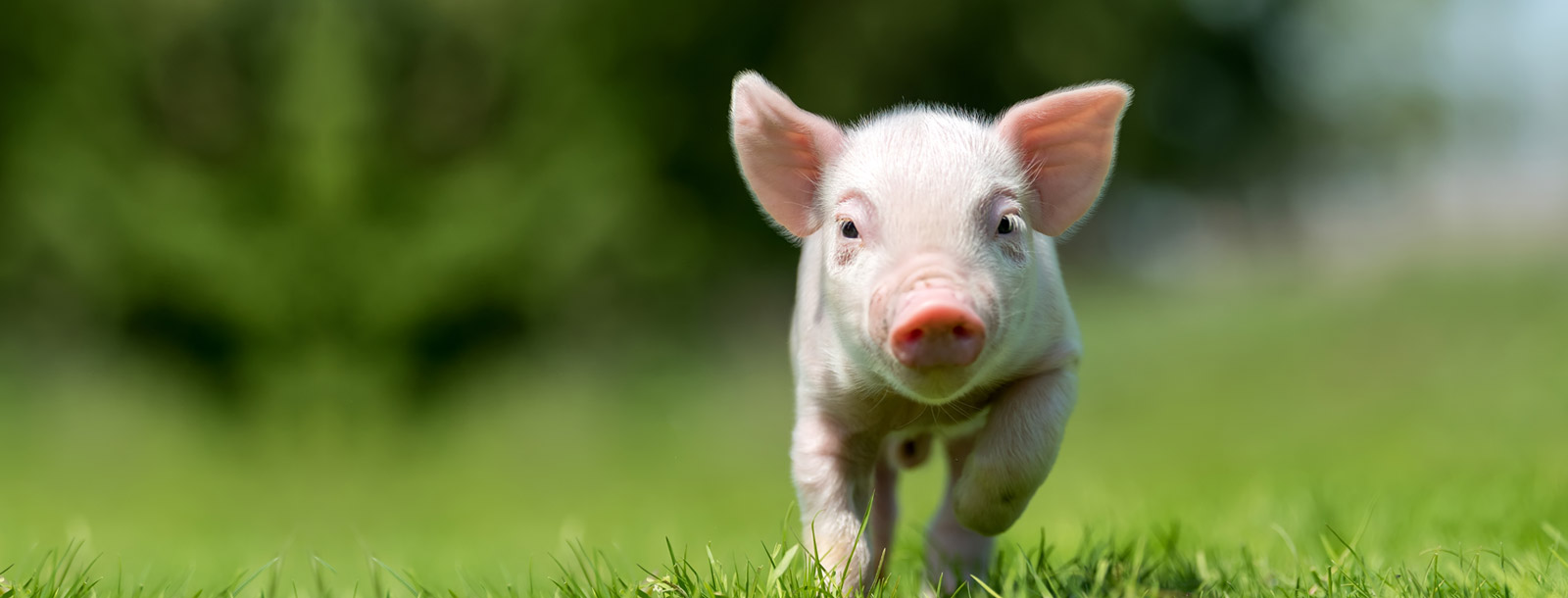 ���������������