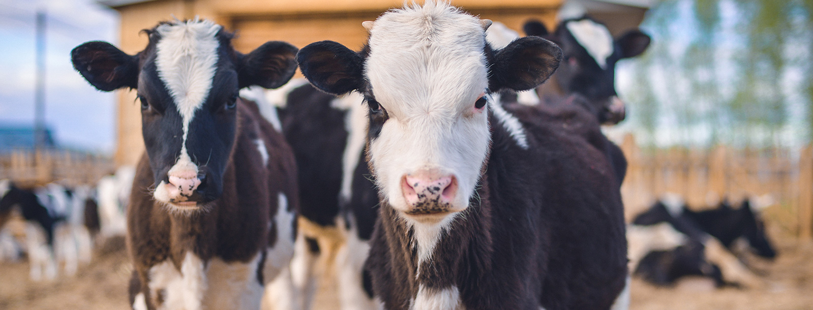 Ϊ��ۻ�����ṩ�ȹ̵ĵ�Դ��Ӧ