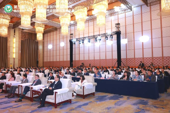 �۽�Դͷ������������������ȫ��Ӫ�� | �Ϻ�kb88ƽ̨����������������̳